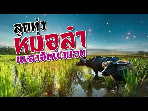 ลูกทุ่งหมอลำ เพลงฮิตฟังม่วนๆ