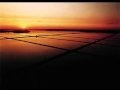Aquaculture Systems and Practices