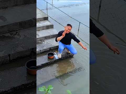 This man's fish escapes into the pond // #shorts #explain #shortsvideo