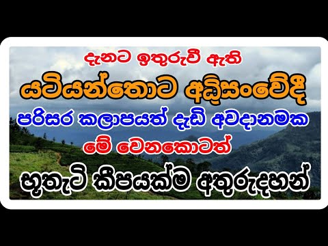 යටියන්තොට අධිසංවේදී පරිසර කලාපය දැඩි අවදානමක, භූතටි අතුරුදහන්,,,, #siwhelatv #history