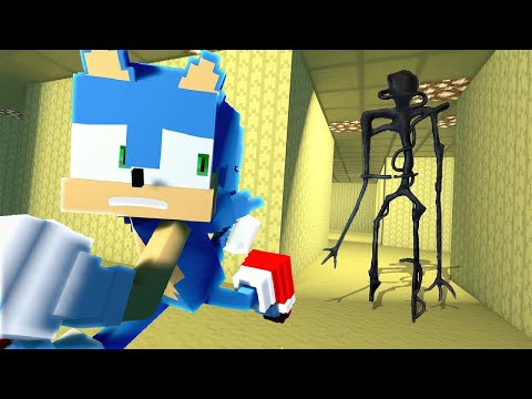 Sonic got into the BACKROOMS 1-3 (Minecraft Animation)