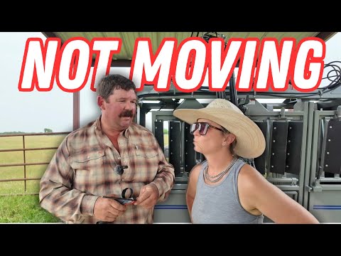 I Shall Not Be Moved: Bolting Down the Beast of a Squeeze Chute