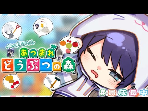 【あつまれどうぶつの森】まずは...整備か？【長尾景/にじさんじ】