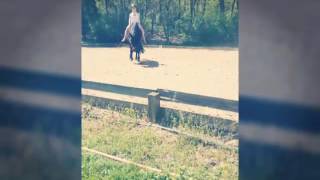 Wieder vereint! #Lucky  {reupload}