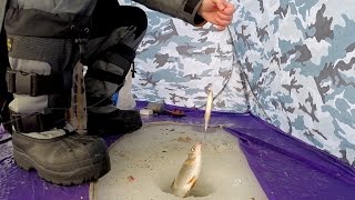 видео