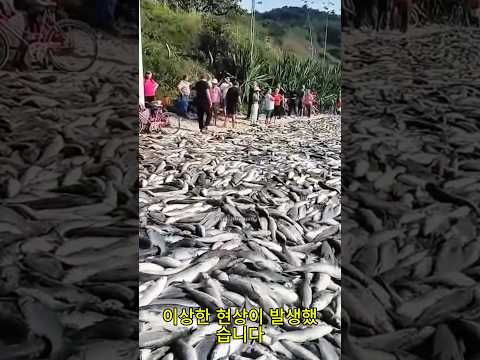 신이 제주도에 남긴 선물, 한국만 가질 수 있다