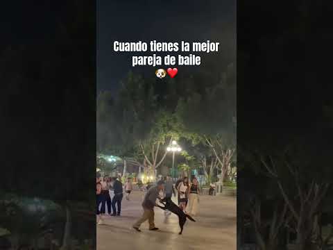 Cuando tienes la mejor pareja de baile 🐶❤️ #viralvideo #funny #dog #perros