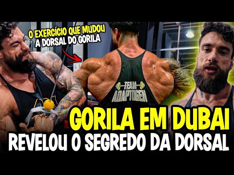 O EXERCÍCIO QUE MUDOU MINHA DORSAL