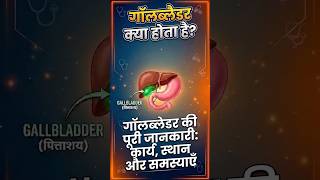 गॉल ब्लेडर क्या होता है? | What is Gallbladder and its Function?