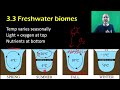 Aquatic Biomes and Ecosystems Concepts