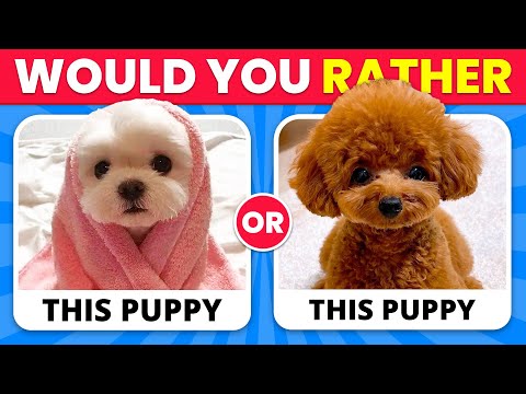 Would You Rather...? ANIMALS Edition 🐶😺