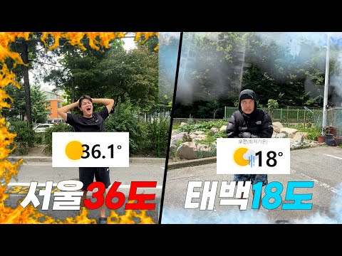 서울 40도!, 태백은 18도! 태백은 왜이리 시원한지 가봤다!!