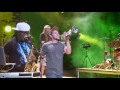 Roots Reggae Music Insights