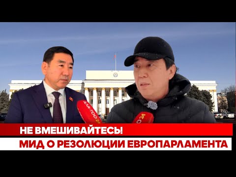 Не вмешивайтесь! МИД о резолюции Европарламента