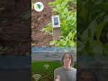Soil Sensors in Agriculture