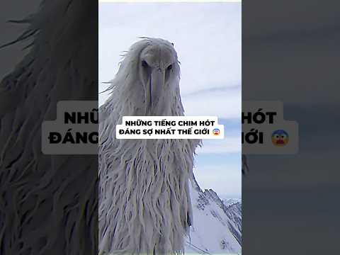Những Tiếng Chim Hót Đáng Sợ Nhất Thế Giới 😨