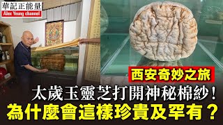 華記8月3報導：西安奇妙之旅！打開太歲玉靈芝神秘面紗？為什麼這樣珍貴及罕有？太歲的科學本質非植物、非動物、非真菌科學界傾向於將其歸類為大型黏菌複合體或原生生物聚合體成分複雜  主要由黏菌、細菌、真菌等