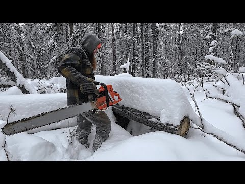 Finding Treasure in a Frozen Log!