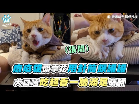 【癱瘓貓開掌花用針筒餵罐罐 大口嗑吃超香一臉滿足萌翻】｜FB / 歐娜與光