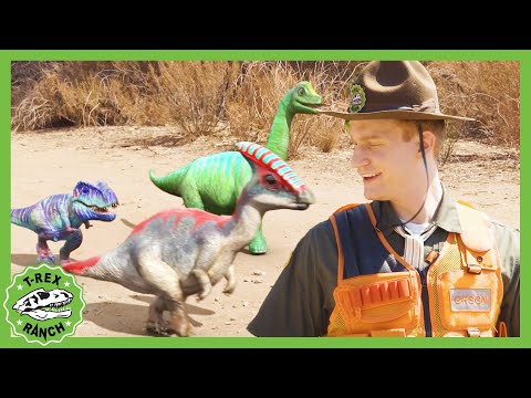 Cute Baby Dinosaurs | T Rex Ranch | Learning for Kids - Explore With Me!