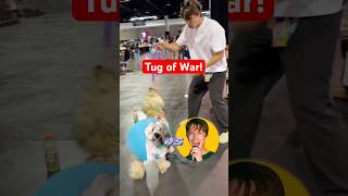 I Played TUG OF WAR with @samueldonner1 at VidCon!