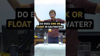 Do eggs sink or float in saltwater? 🥚⬆️⬇️ #shorts #DrTatiana