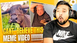 Heavy memes of the week 🤣🤣 Meme reaction
