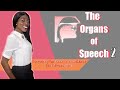 Speech Production Anatomy and Functions