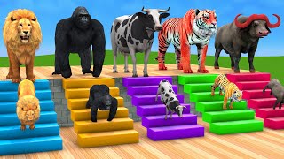 Cow Elephant Lion Gorilla Tiger T Rex Choose the RIGHT Animal ESCAPE ROOM CHALLENGE MYSTERY BOX Game