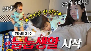 쌍둥이 31주, 제왕 절개 날짜 잡다..🫢메이슨 오빠 방 완성!🚙🏁