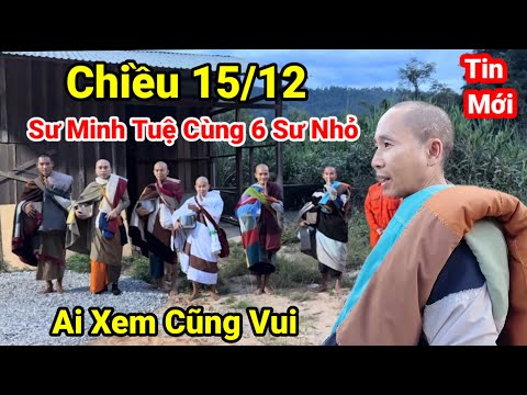 Tin Mới Nhất.. Thầy Minh Tuệ Cùng 5 Sư Nhỏ Đi Bộ Hành..Gặp Thầy Rồi Ai Xem Cũng Xúc Động