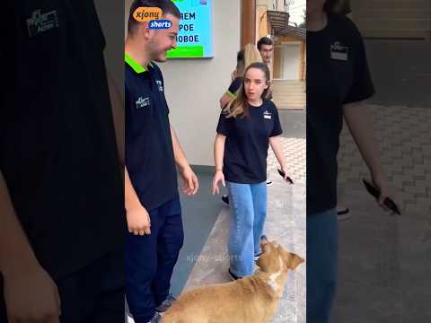 The end 😂😂😂#viral #shorts #funny #fails