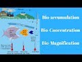 Bioaccumulation and Biomagnification Concepts