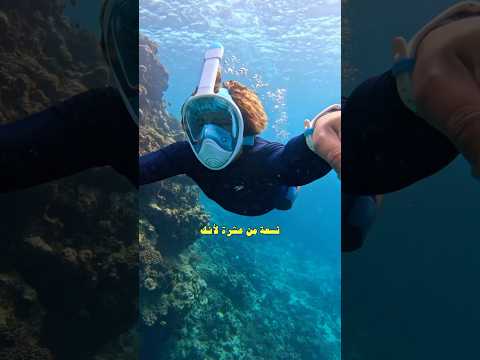 قناع التنفس هل ينفع للغوص؟ هذي تجربتي #بحر #اكسبلور #غوص