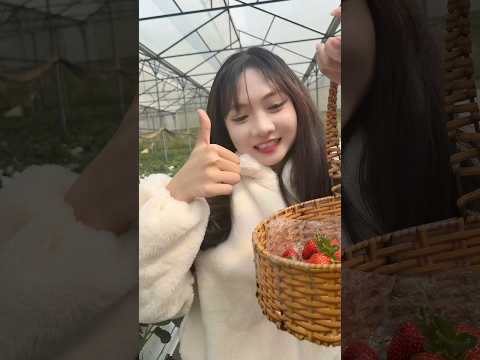 dâu tây tặng các bạn nam và nữ 🍓