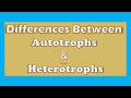 Autotrophs and Heterotrophs Overview