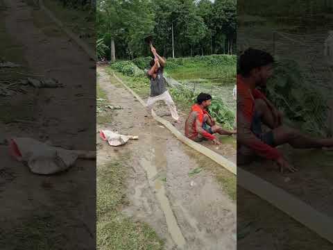 করে কি ভাই