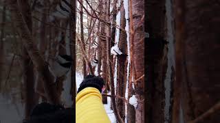 From surviving cancer to finding healing in nature