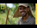 Ecological Roles and Conservation Efforts
