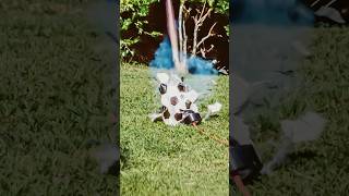 O que acontece se eu ENCHER uma bola DEMAIS? ⚽️💥