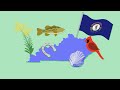 Kentucky State Symbols and Facts