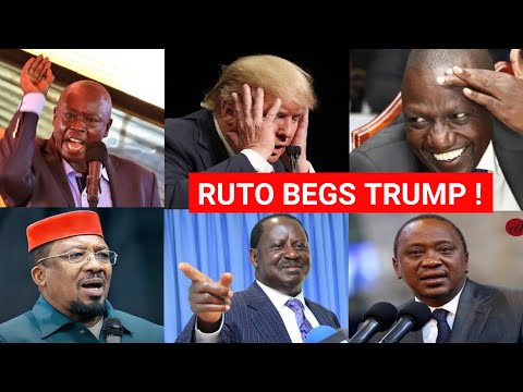 USA DEPORTATION CRAZY MEME🤣: FT NGANGA, RUTO, TRUMP, UHURU