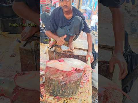 Unreal Skills! What This Man Does at a Bangladesh Pangas Fish Cutting Skills ๐ฑ