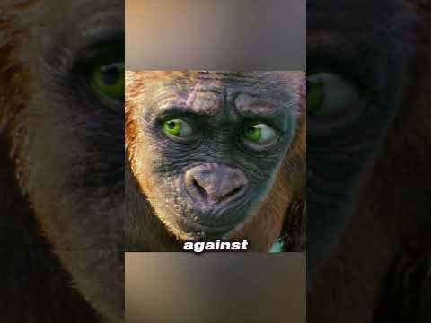 Suko saved King Kong three times#shorts