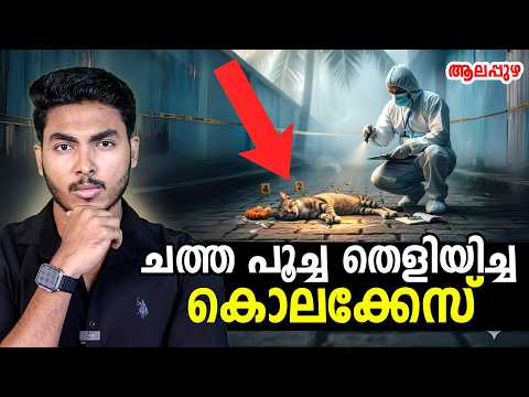 ചത്ത പൂച്ച തെളിയിച്ച ഞെട്ടിക്കുന്ന കേസ് !! DEAD CAT SOLVES A CASE | MALAYALAM | AFWORLD BY AFLU
