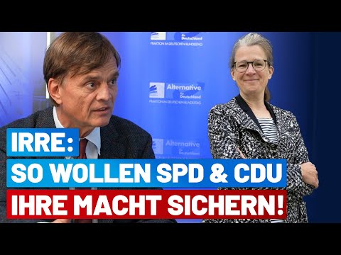 Ann-Katrin Kaufhold muss verhindert werden! Interview mit Dr. Bernd Baumann - AfD-Fraktion