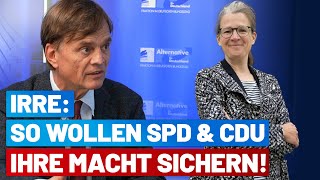 Ann-Katrin Kaufhold muss verhindert werden! Interview mit Dr. Bernd Baumann - AfD-Fraktion