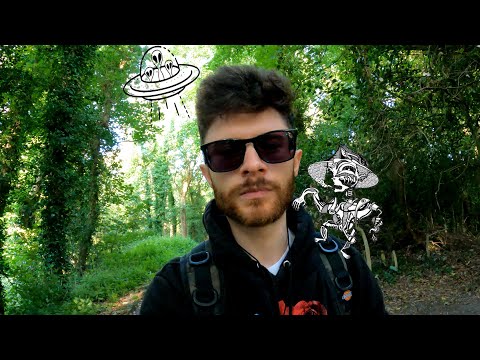 The Hidden Link Between Aliens & DMT Entities...