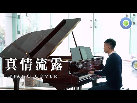 【真情流露(粵) / 情到深處(國)】張學友 愛情名曲 鋼琴深情演譯版