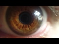 Video Engagement and Viewer Actions
